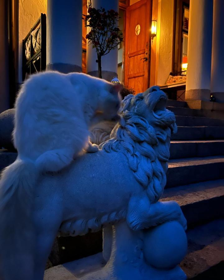 Herrgards Hotell Gyllene Haesten ベステルビーク エクステリア 写真